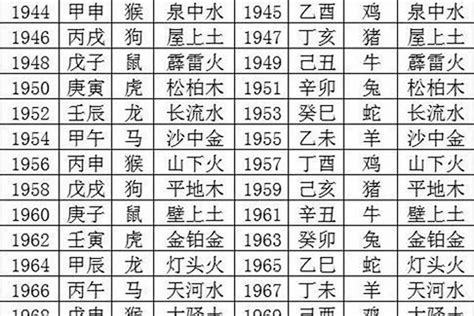 24年什么年